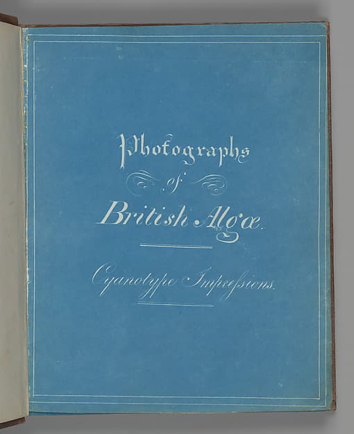 Анна Аткинс. Фотографии британских водорослей: цианотипные отпечатки, около 1853 года.