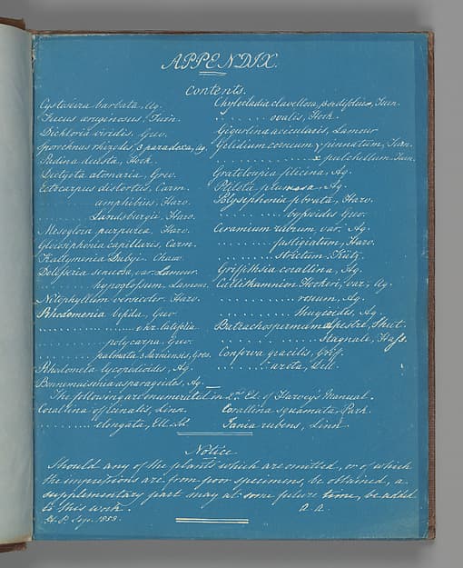 Анна Аткинс. Приложение к «Фотографиям британских водорослей», около 1853 года.