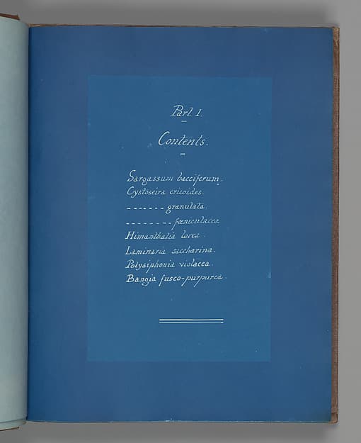 Анна Аткинс. Содержание части I, около 1853 года.