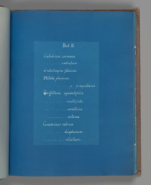 Анна Аткинс. Часть IX, около 1853 года.