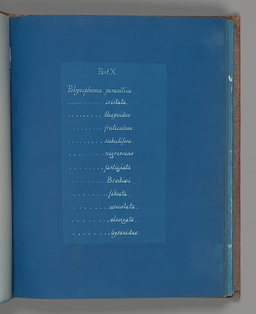 Анна Аткинс. Часть X, около 1853 года.