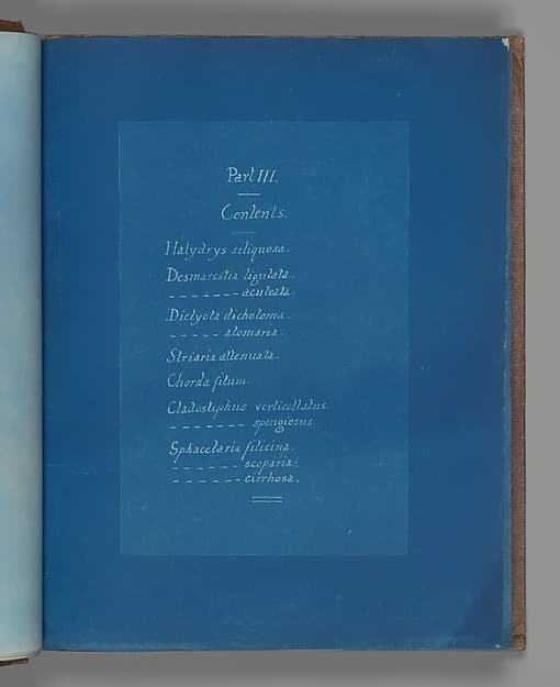Анна Аткинс. Содержание части III, около 1853 года.