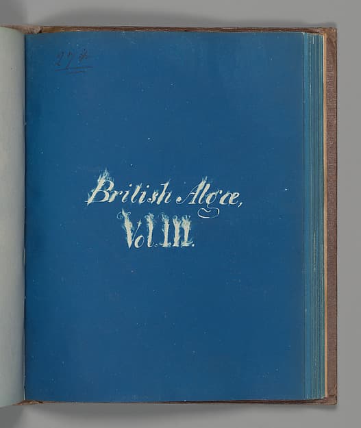 Анна Аткинс. Британские водоросли, том III