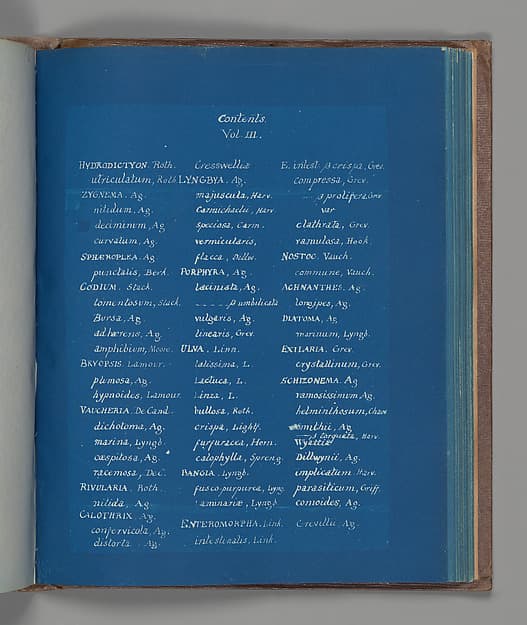 Анна Аткинс. Содержание тома III, около 1853 года.