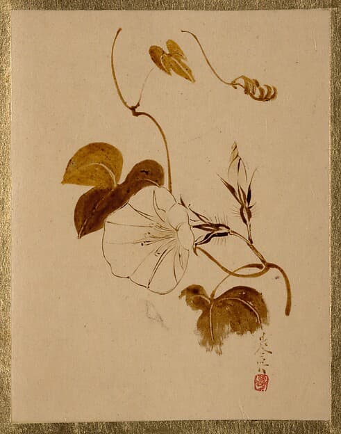 Сибата Дзэсин. Произведение «Morning Glory», 1807 год.
